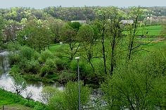 Blick_aus_dem_Fenster